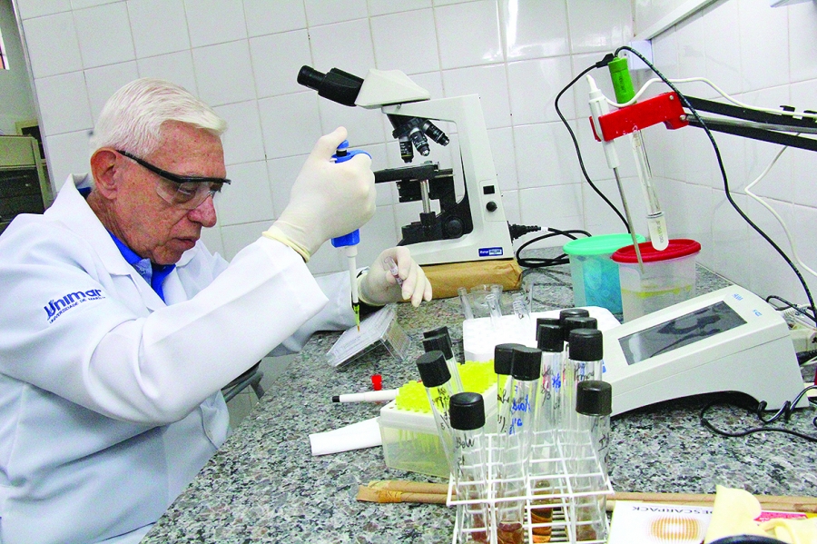 Mestrado Profissional